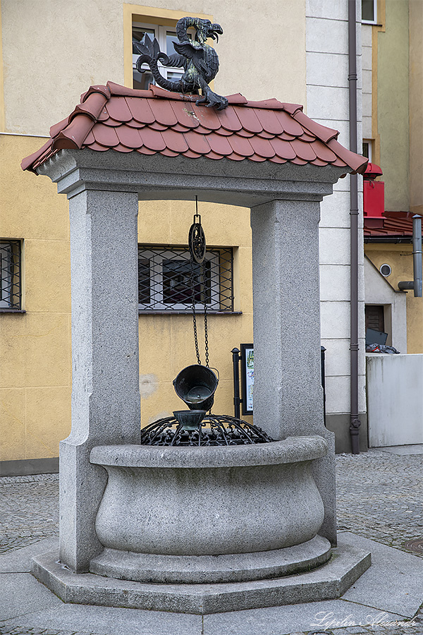 Дворец Девинув-Биберстенув (Zamek Dewinów-Bibersteinów) - Жары (Żary) - Польша (Polska)