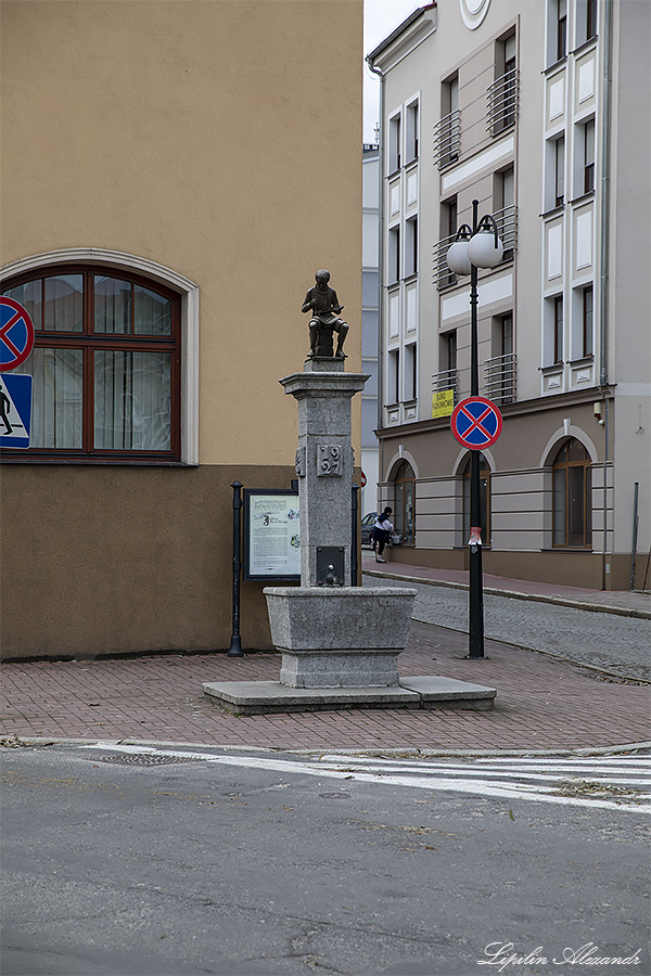 Дворец Девинув-Биберстенув (Zamek Dewinów-Bibersteinów) - Жары (Żary) - Польша (Polska)