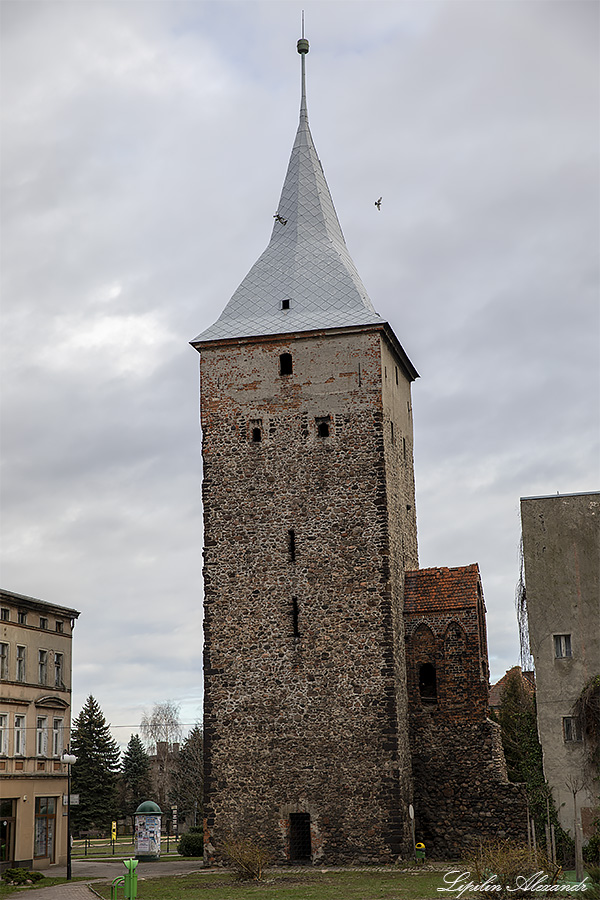 Дворец Девинув-Биберстенув (Zamek Dewinów-Bibersteinów) - Жары (Żary) - Польша (Polska)