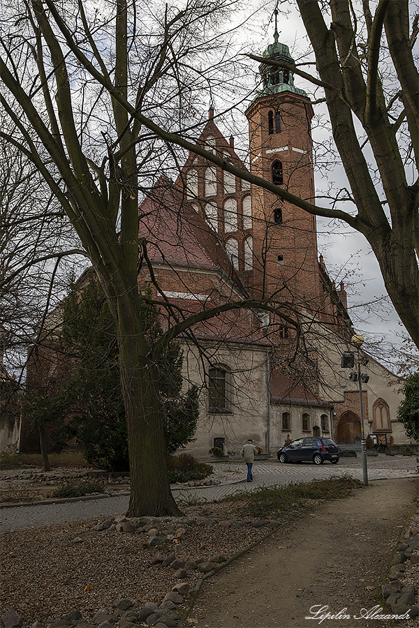 Дворец Девинув-Биберстенув (Zamek Dewinów-Bibersteinów) - Жары (Żary) - Польша (Polska)