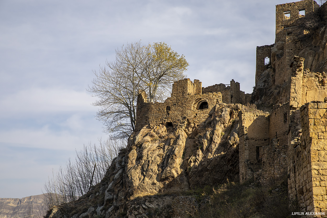 Гамсутль