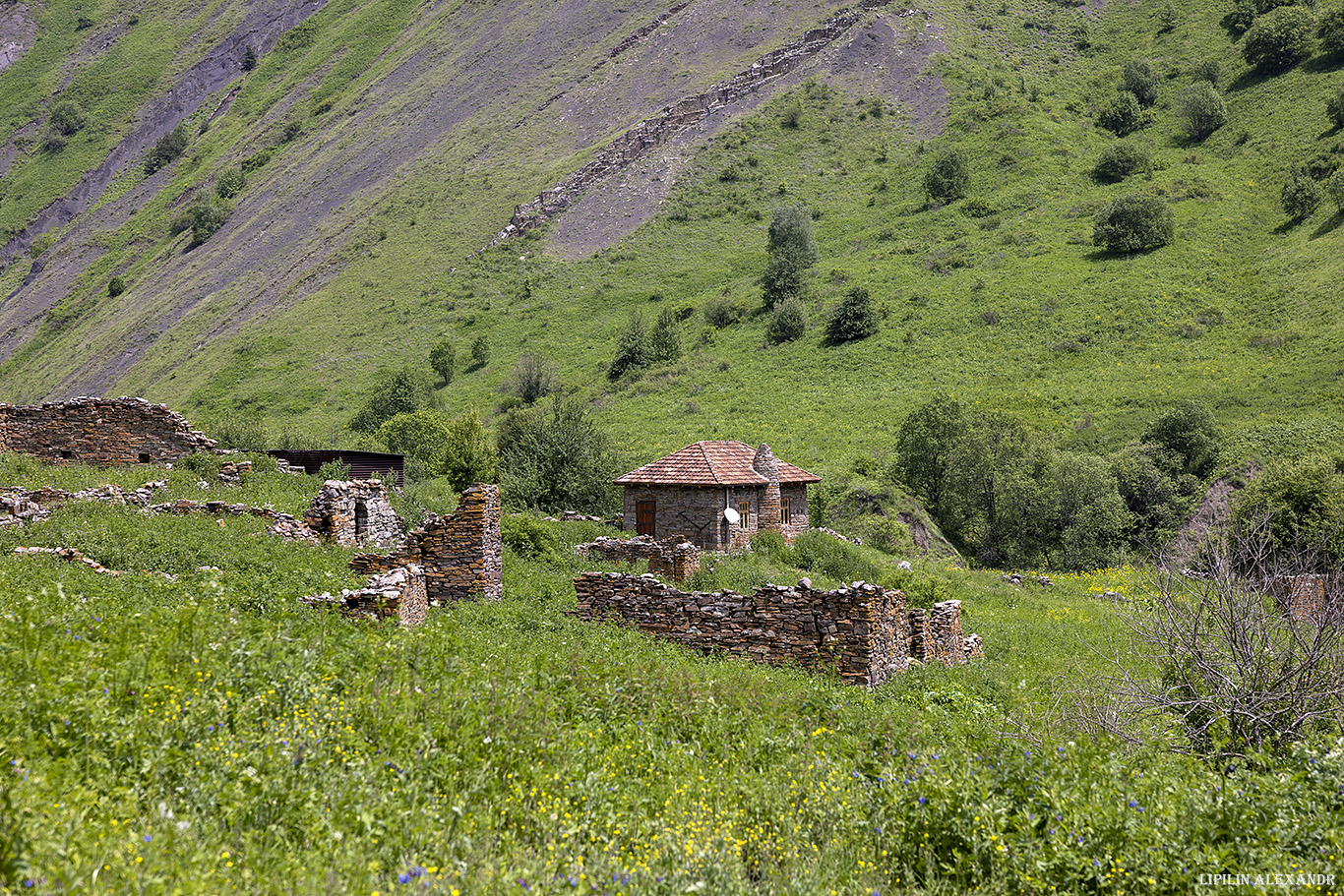 Башня Хайбахой