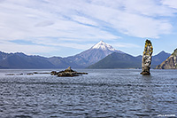 ������ �����