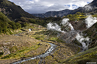 ������ ��������