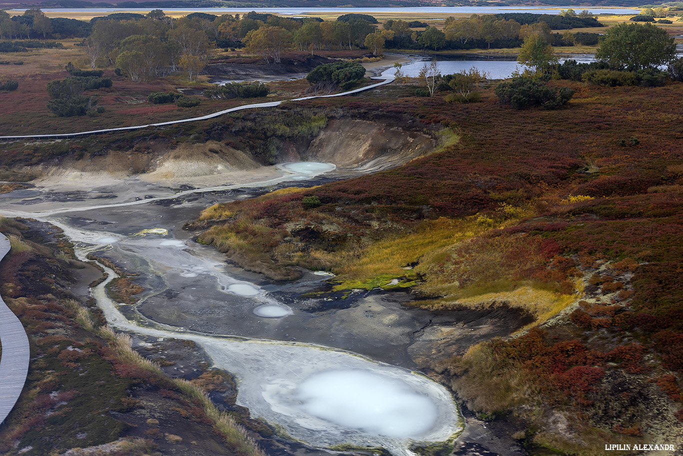 �������� ������� ����