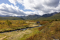 ����������� ����������