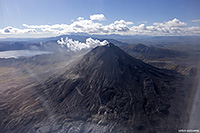 �� ���� ���������