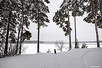 ���������� �������������